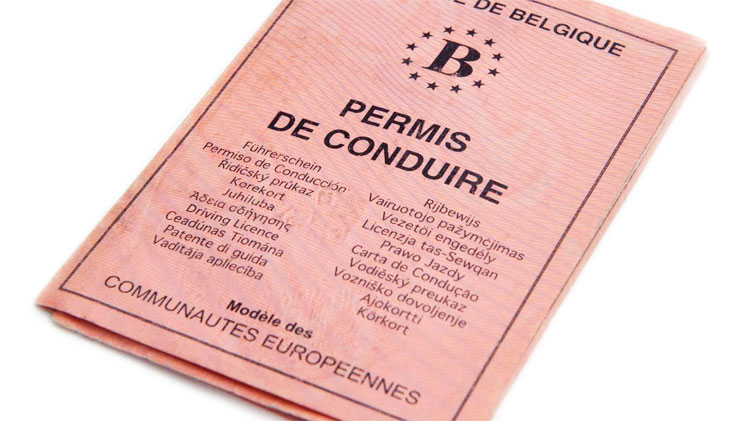 permis-belge-triptique-rose
